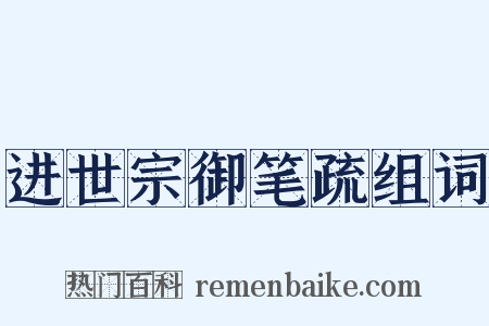 进世宗御笔疏组词是什么意思的图片